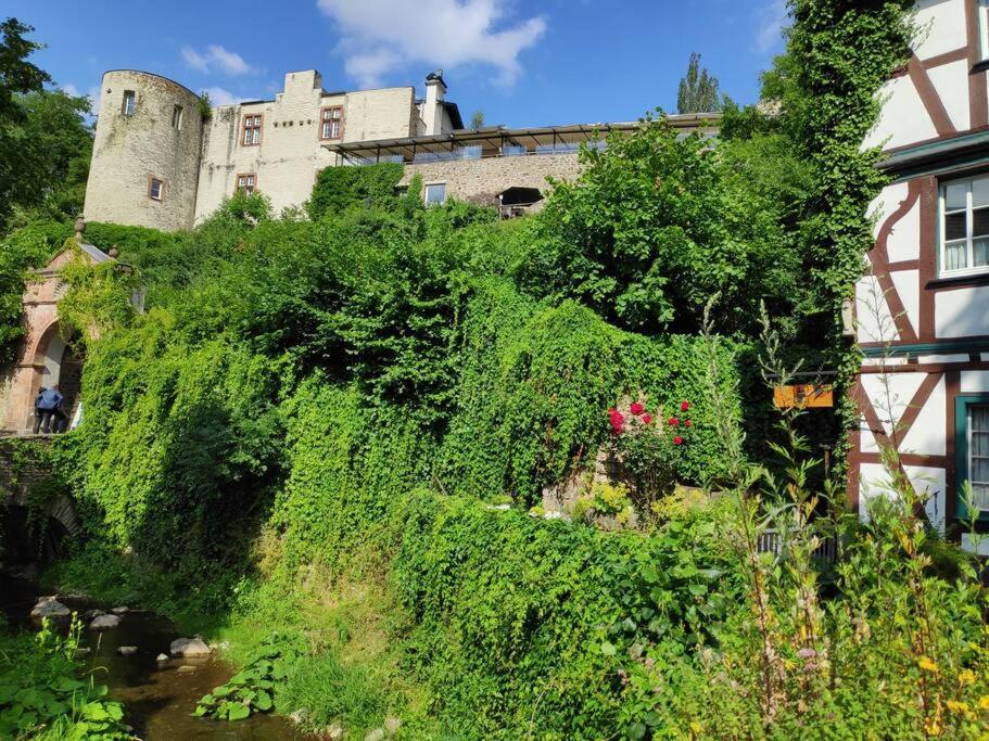 Das Hideaway Zum Seele Baumeln Lassen ! Bad Muenstereifel Kültér fotó