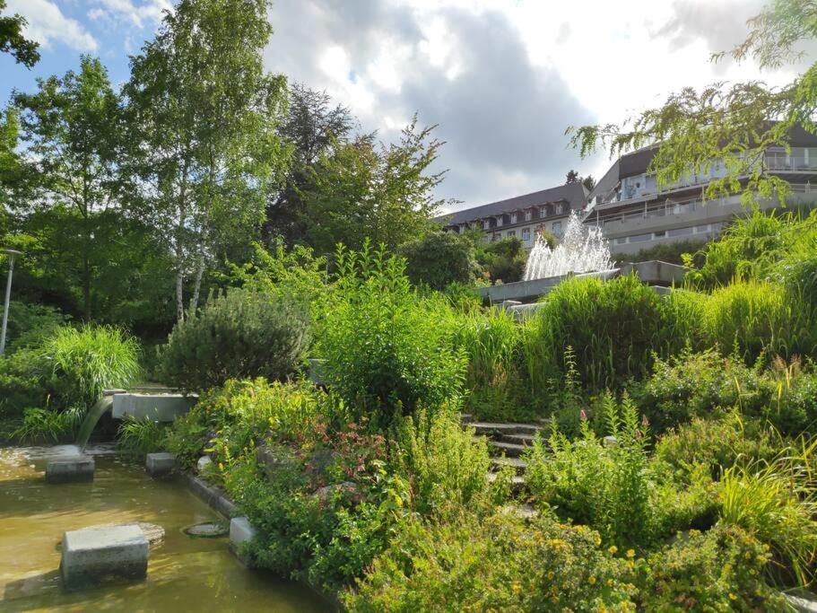 Das Hideaway Zum Seele Baumeln Lassen ! Bad Muenstereifel Kültér fotó